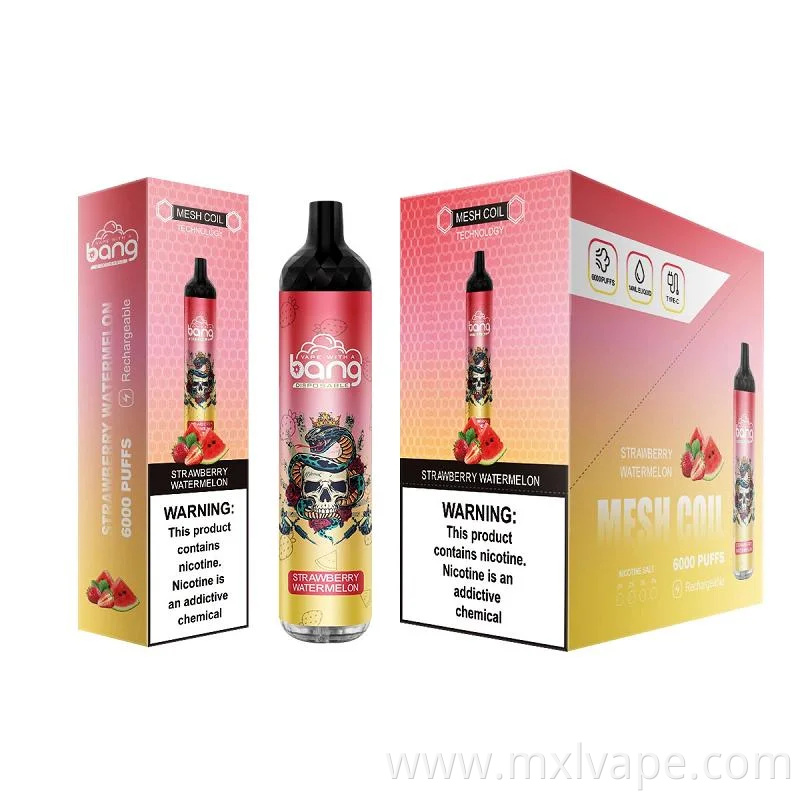 2023 Cheap Vaporizer Disposable Bang Vapes Big Puffs Vapor Bang King 6000